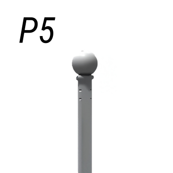 P5 - Speer